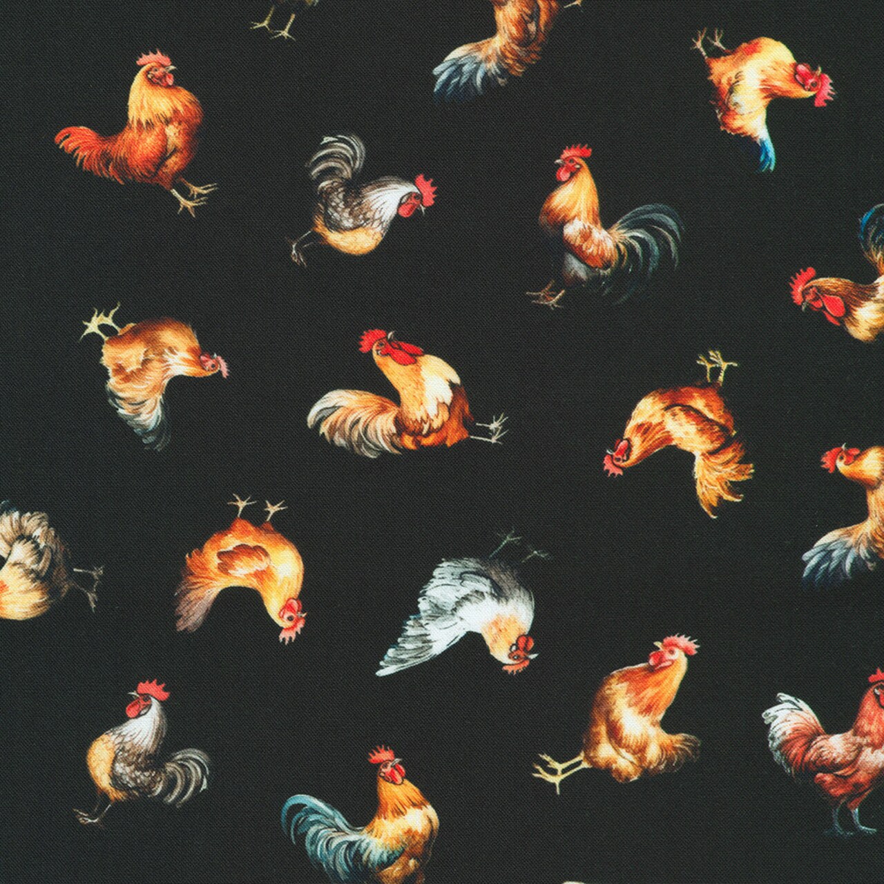 Fabric Robert Kaufman Black Hens Home to Roost by the Quarter Yard SRKD231712